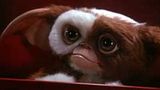gremlins2SPLASH.jpg Gizmo image by VampireBoo17