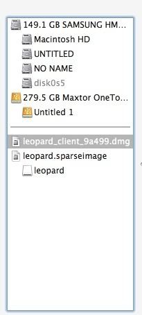 Leopard 10,5 однослойные DVD Leopard 10,5 однослойные DVD