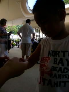 Photo Sharing and Video Hosting at Photobucket