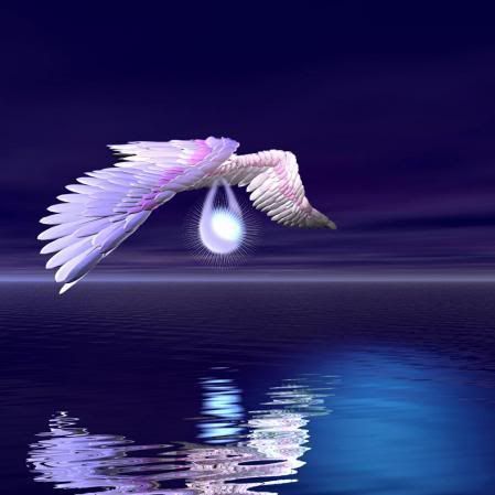 angel-de-luz.jpg Angel de Luz picture by diversescorpio