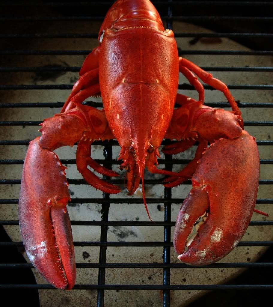 Lobster2.jpg