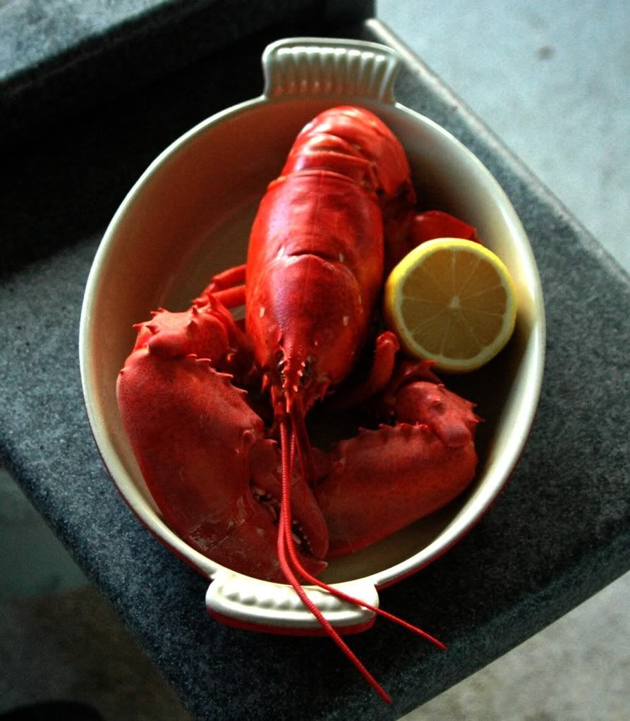 Lobster3.jpg