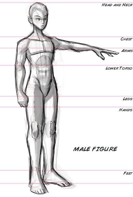 women body outline. ody outline for designing