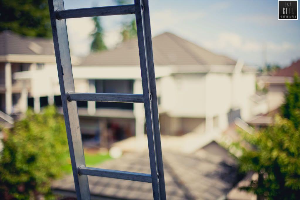 IMAGE: http://i210.photobucket.com/albums/bb16/jaystar86/_MG_8719.jpg