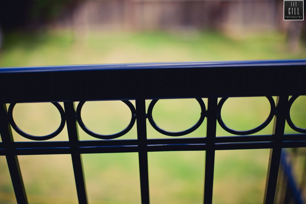 IMAGE: http://i210.photobucket.com/albums/bb16/jaystar86/_MG_8738.jpg