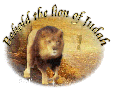 the lion of Judah Pictures, Images and Photos