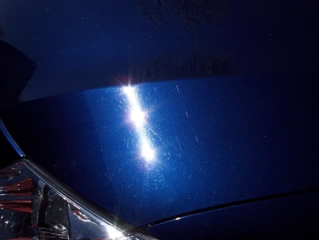 000_0377.jpg
