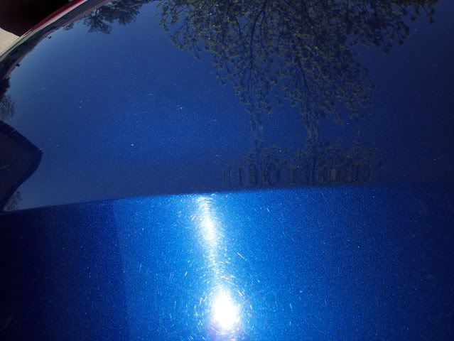 000_0379.jpg
