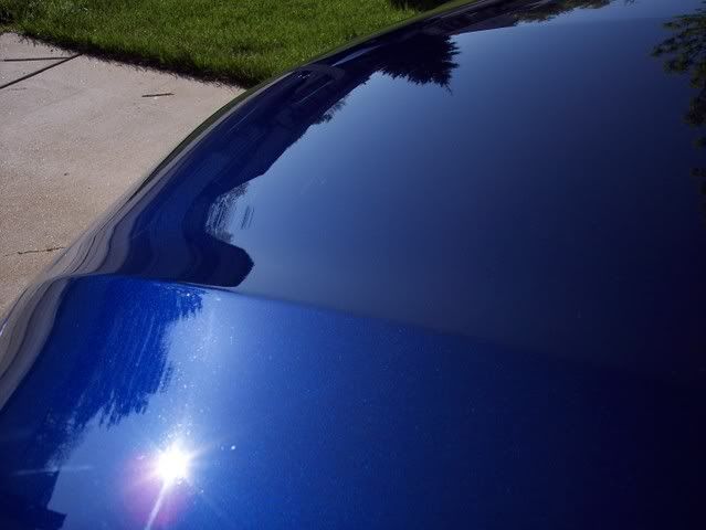 000_0380.jpg