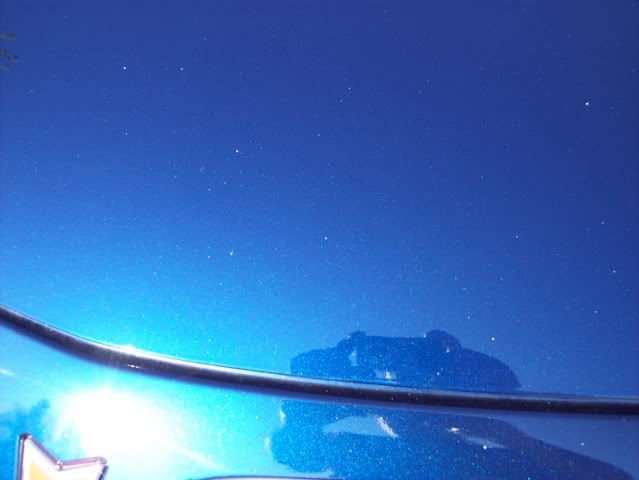 000_0381.jpg