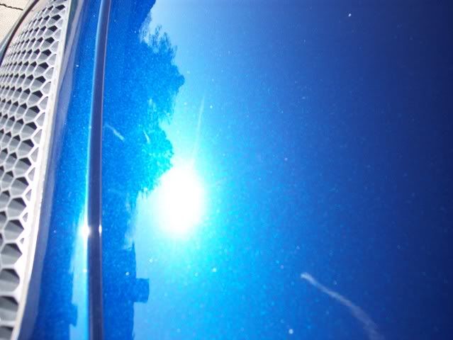 000_0384.jpg