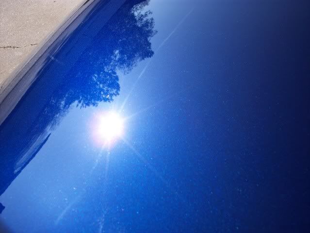 000_0385.jpg