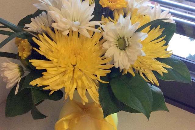 photo IMG_0241_1.jpg