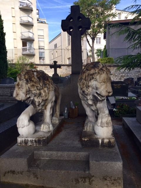 lions photo FullSizeRender 3.jpg