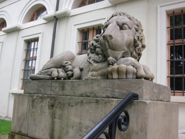 photo 099.jpg