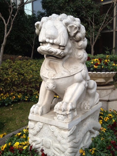 photo photo17.jpg
