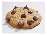 ChocolateChipCookie.jpg image by davidkoons