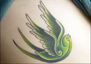 dove tattoo Pictures, Images and Photos