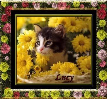 lucychatenfleurAME.jpg Kit Lucy ame image by lucy57_albums