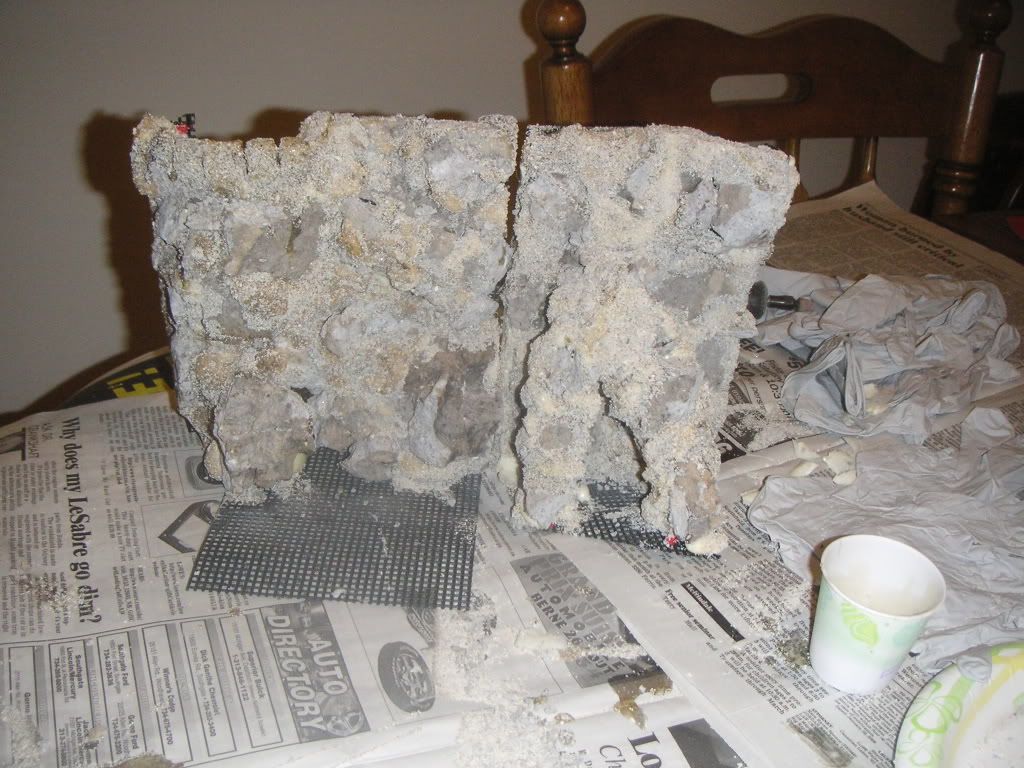 2.5g with a foam/rock wall build Michigan Reefers