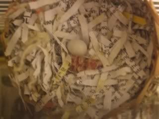 Zebra Finch Food