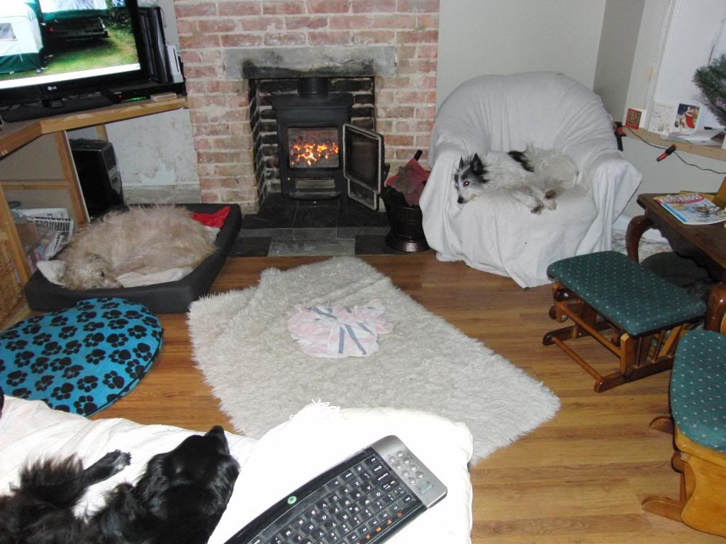 http://i210.photobucket.com/albums/bb208/drhysted/09-12-31-1728.jpg