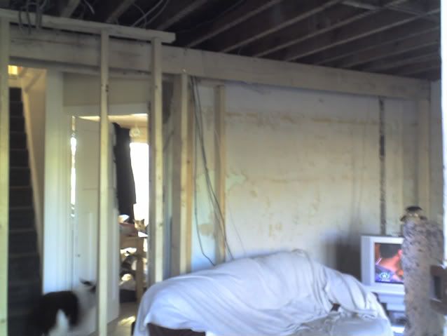 http://i210.photobucket.com/albums/bb208/drhysted/16-04-08_1759.jpg