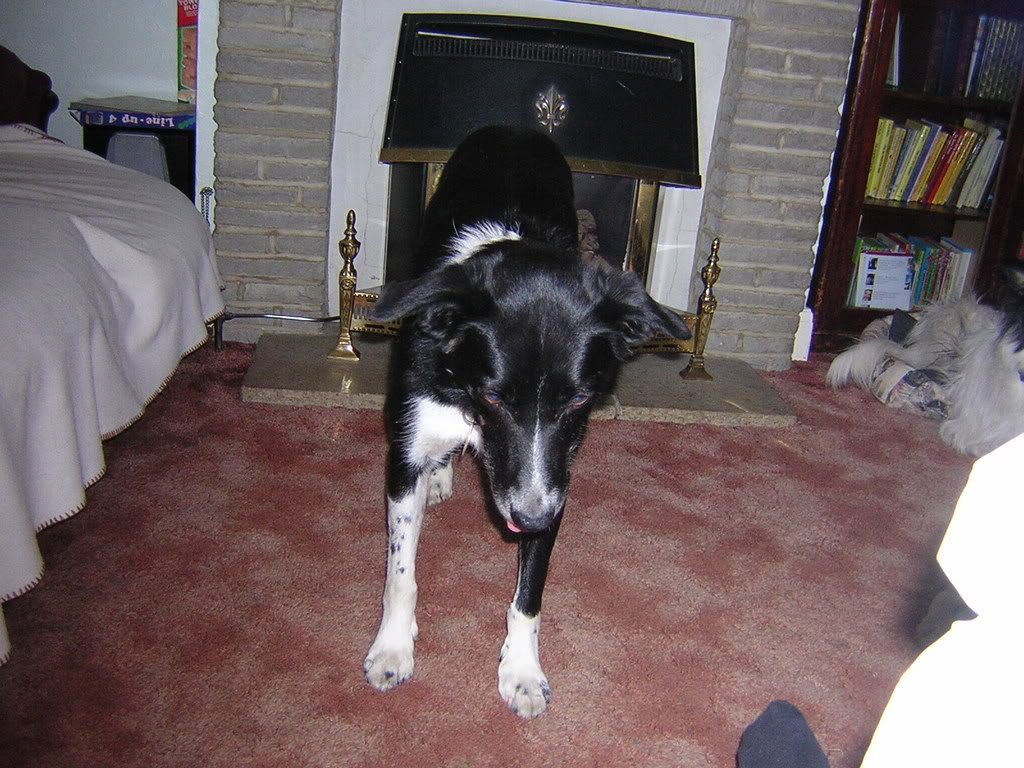 http://i210.photobucket.com/albums/bb208/drhysted/Barney99.jpg
