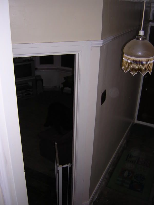 http://i210.photobucket.com/albums/bb208/drhysted/DSCN2537.jpg