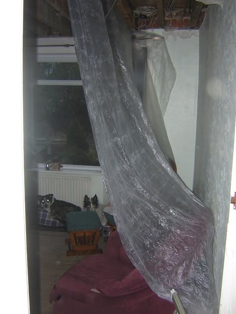 http://i210.photobucket.com/albums/bb208/drhysted/DSCN2669.jpg