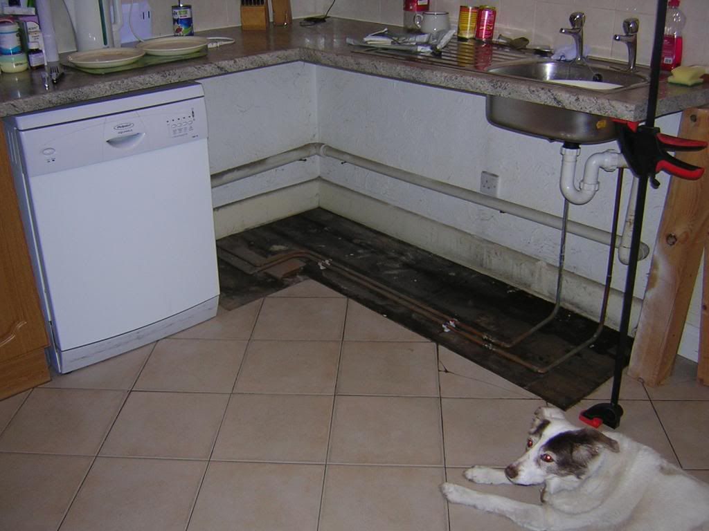 http://i210.photobucket.com/albums/bb208/drhysted/DSCN2849.jpg
