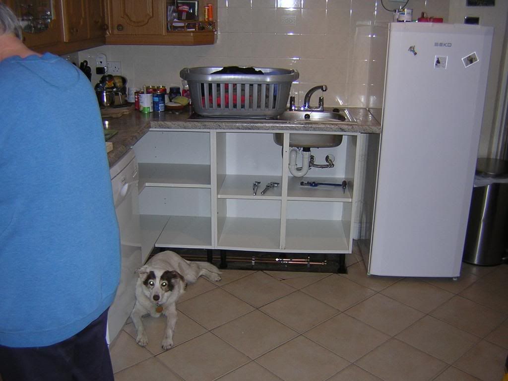 http://i210.photobucket.com/albums/bb208/drhysted/DSCN2871.jpg