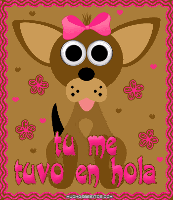 Tuvo-En-Hola.gif image by commentsjunkie