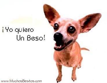 yo quiero un beso