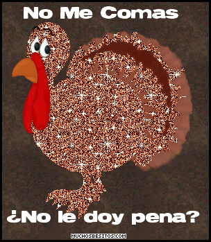 crueldad animal crueldad animal