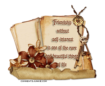 beautiful-rare-friendship.gif image by commentsjunkie
