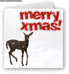 Christmas Comments