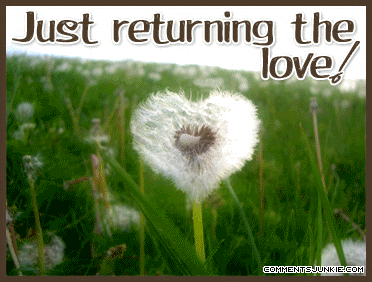 Returning Love @ CommentsJunkie.com