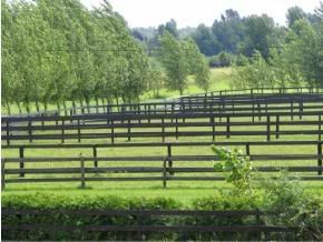 Paddocks