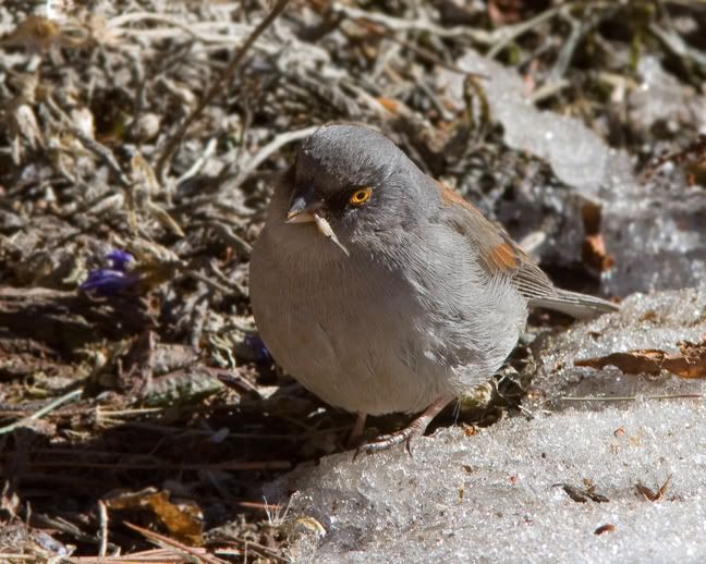 IMAGE: http://i210.photobucket.com/albums/bb238/MicheleRF_photos/yejucigar.jpg