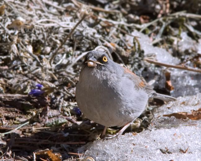 IMAGE: http://i210.photobucket.com/albums/bb238/MicheleRF_photos/yejunestmaterial.jpg