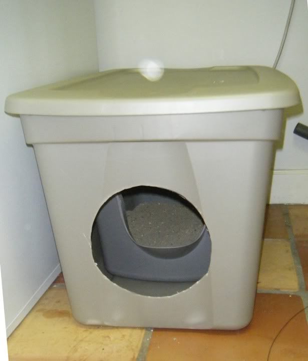 How to keep dogs away from cat food and litter? Puppy Forum and Dog