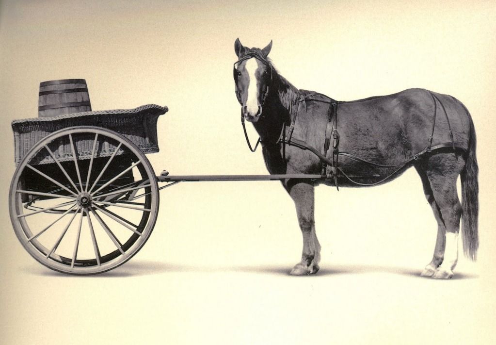 [Image: cart_before_the_horse1.jpg]