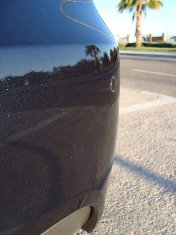 DSC04842.jpg