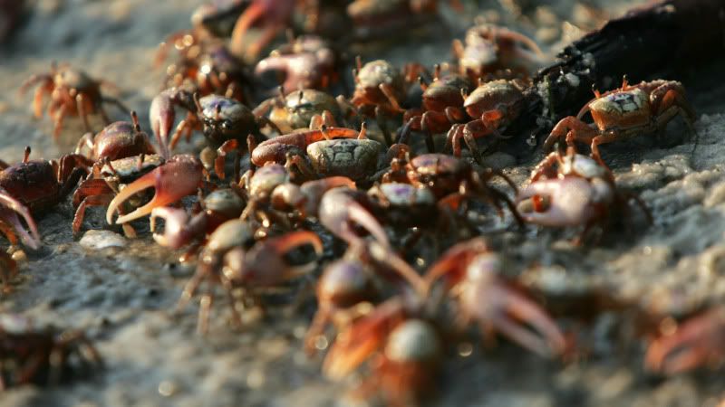 IMAGE: http://i210.photobucket.com/albums/bb261/kirradude1025/502editcopy.jpg