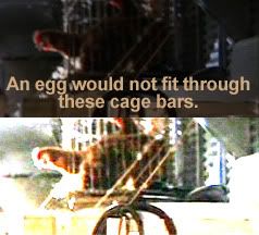 Egg_Cage1.jpg