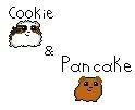 cookieandpancake Avatar