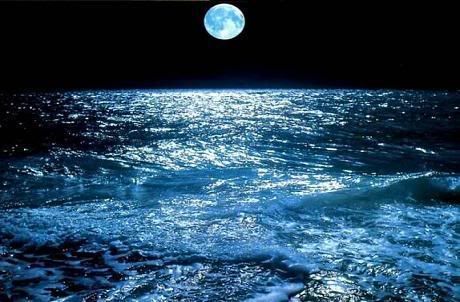 Ocean Moon Pictures, Images and Photos