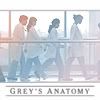 greys anatomy
