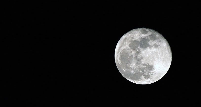 IMAGE: http://i210.photobucket.com/albums/bb276/coondogg15210/IMG_3976_edited-1.jpg